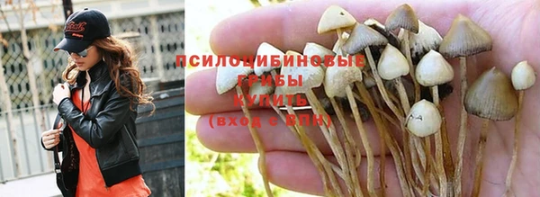 MESCALINE Арсеньев