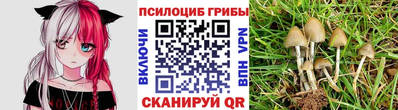 hydra онион  Урюпинск  Галлюциногенные грибы Psilocybe 